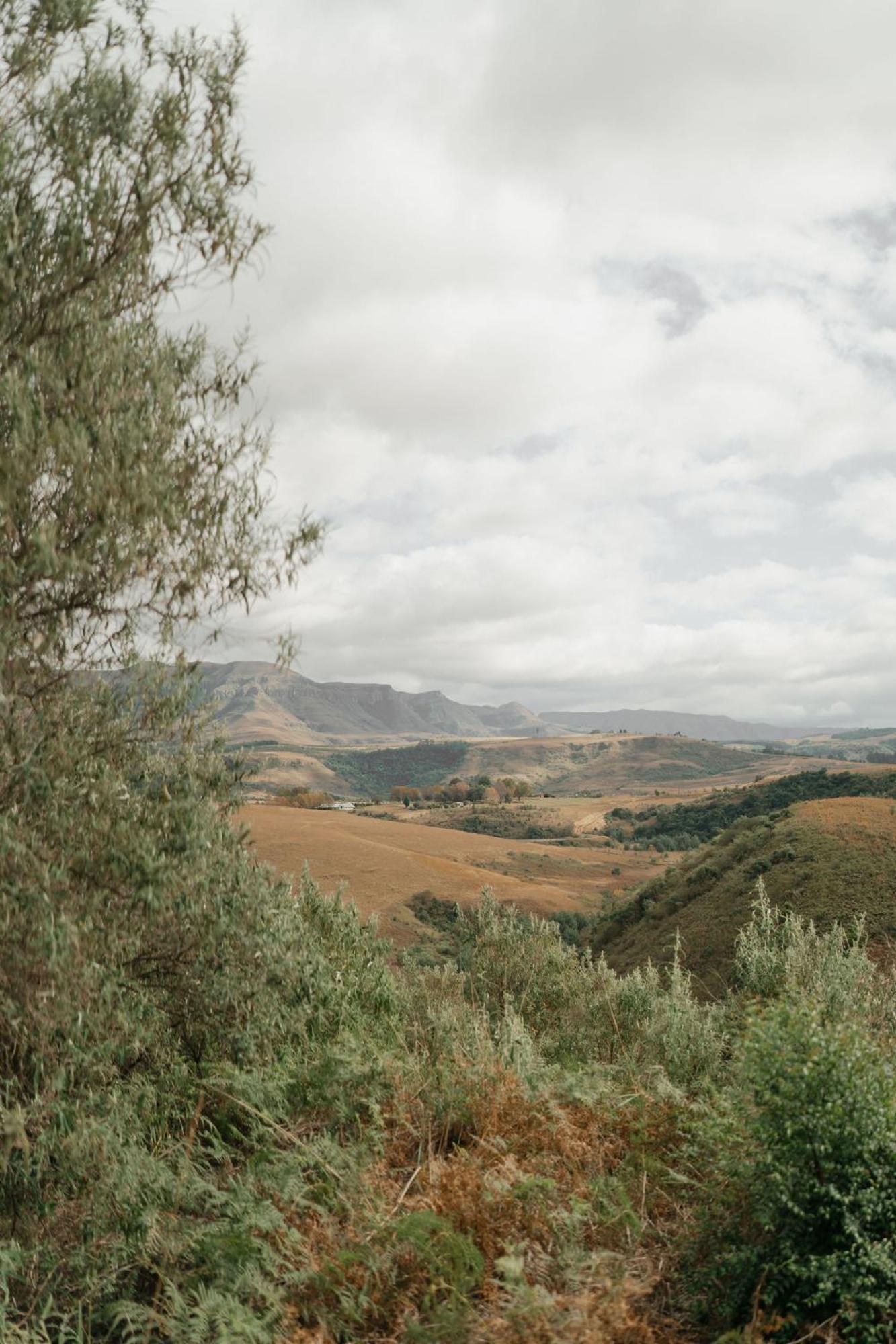 Dragonview Lodge Champagne Valley エクステリア 写真